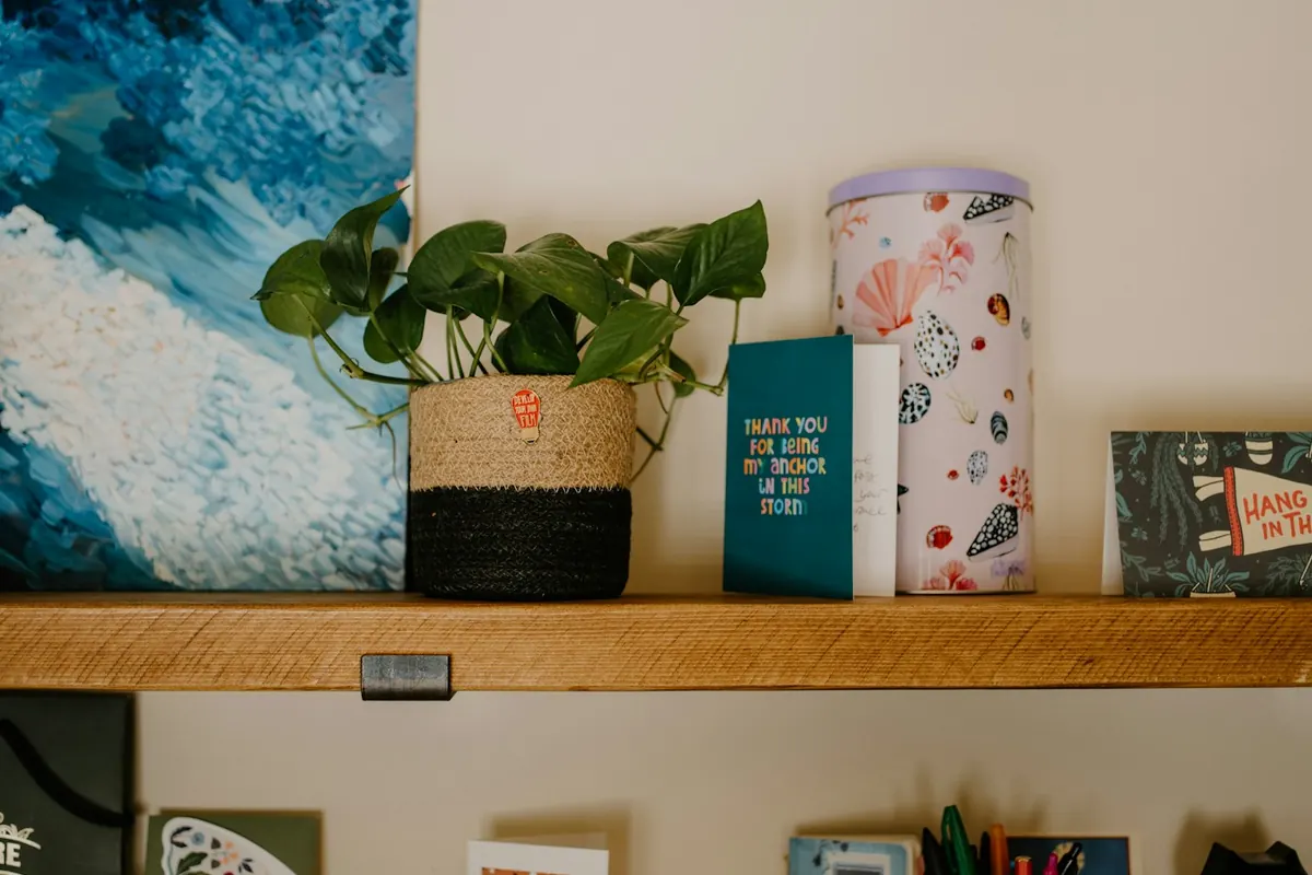 Shelf with plant, books, and artwork